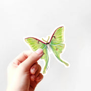 Luna Moth Vinyl Sticker