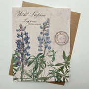 Wild Lupine Vintage Botanical Specimen - Notecard Set of 8
individual card
