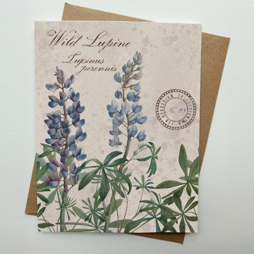 Wild Lupine Vintage Botanical Specimen - Notecard Set of 8
individual card
