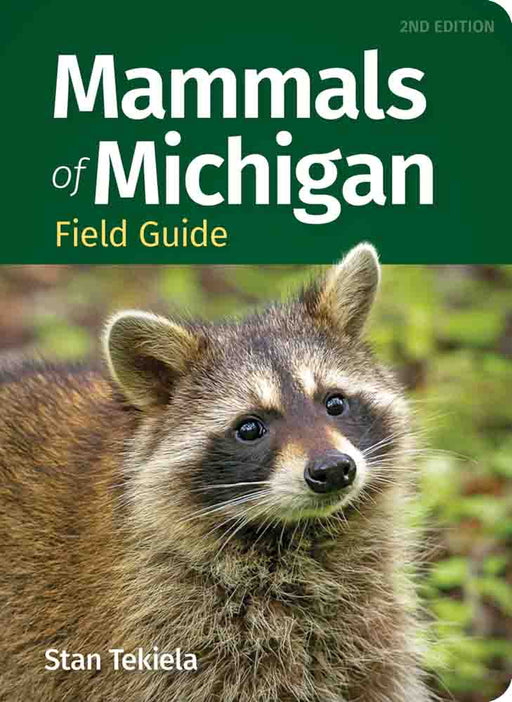 cover page features title and raccoon image