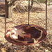 Hanging Bird Bath - Red Maple Leaf Bowl