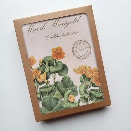 Marsh Marigold Vintage Botanical - Notecard Set of 8 with packaging