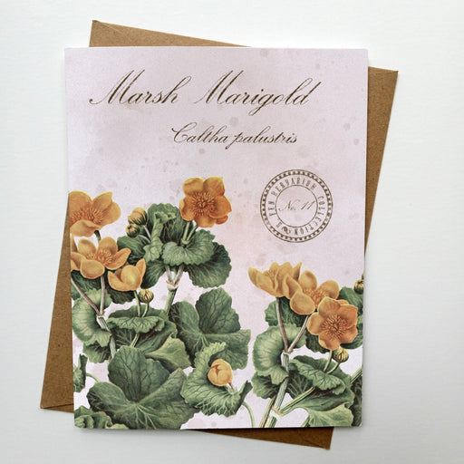 Marsh Marigold Vintage Botanical - Notecard Set of 8 individual card