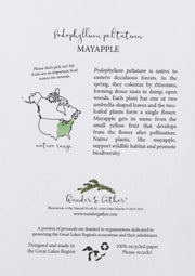 Mayapple information on plant and card