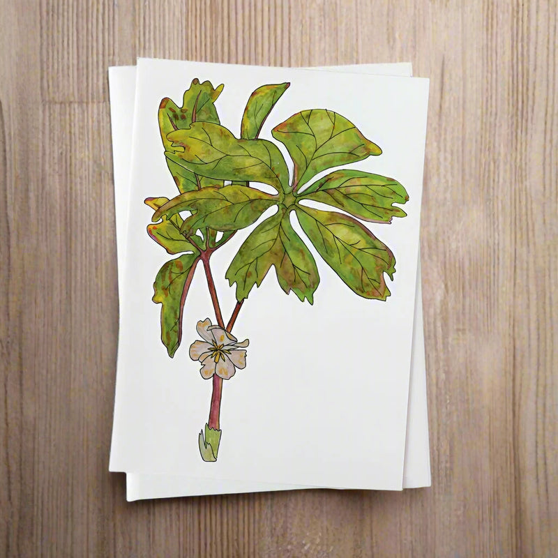 Card with green leaf design on a sage background