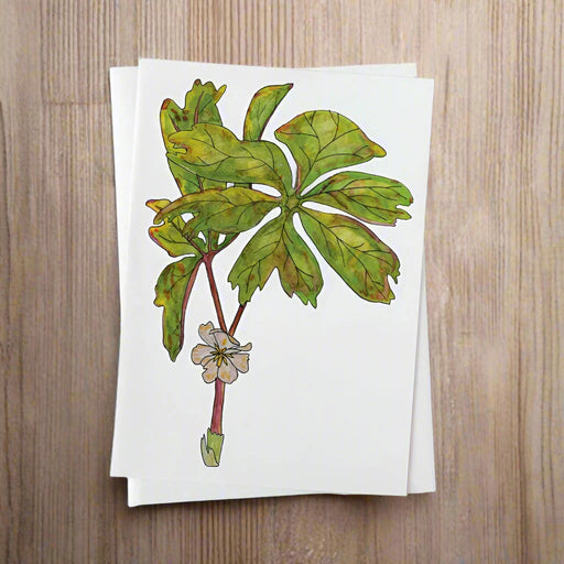 Card with green leaf design on a sage background