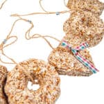 Holiday Seed Garland