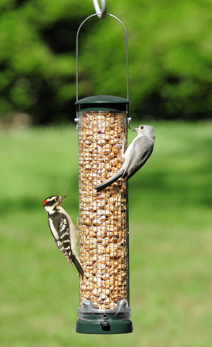 Quick-Clean Peanut Mesh Feeder - Spruce visited by downy woodpecker and tufted titmouse