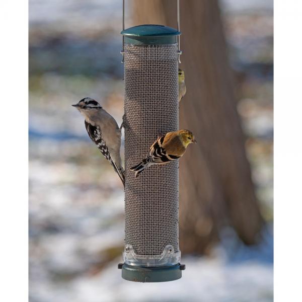Quick-Clean Nyjer® Mesh Feeder - Spruce in use