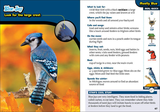 The Kids' Guide To Birds Of Michigan sample pages