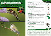The Kids' Guide To Birds Of Michigan sample pages