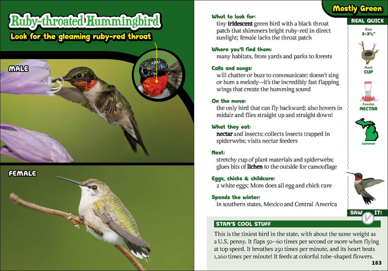 The Kids' Guide To Birds Of Michigan sample pages