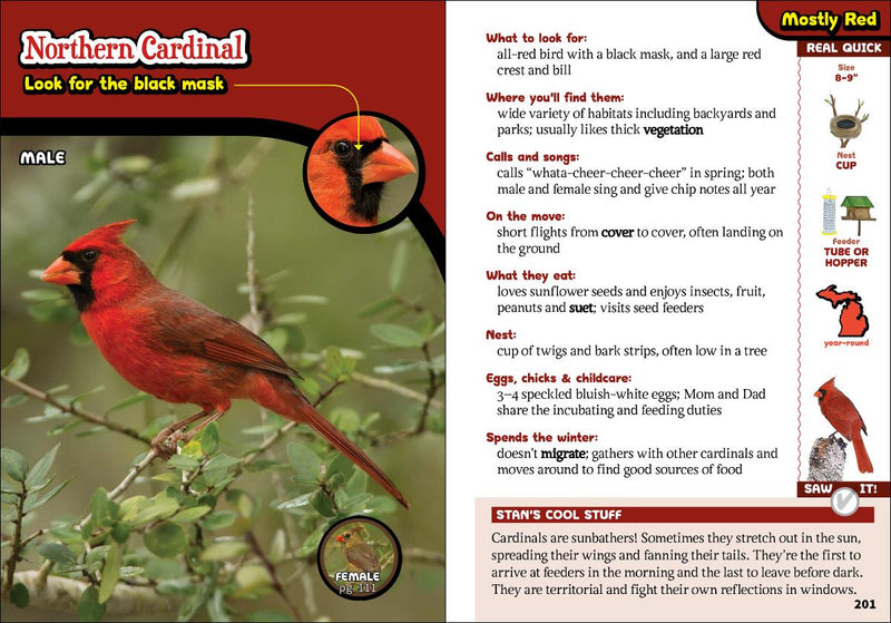 The Kids' Guide To Birds Of Michigan sample pages