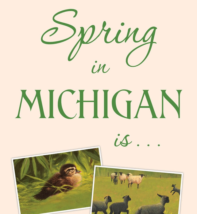 Our Michigan! We Love the Seasons, A Picture Book