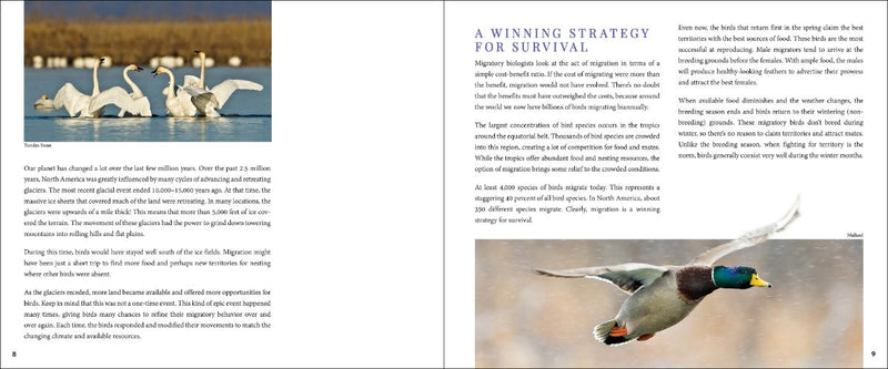 Bird Migration sample pages