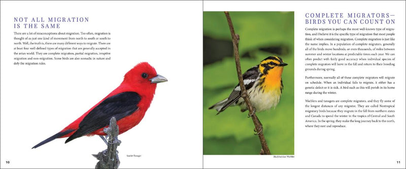 Bird Migration sample pages