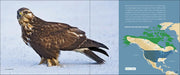 Bird Migration sample pages