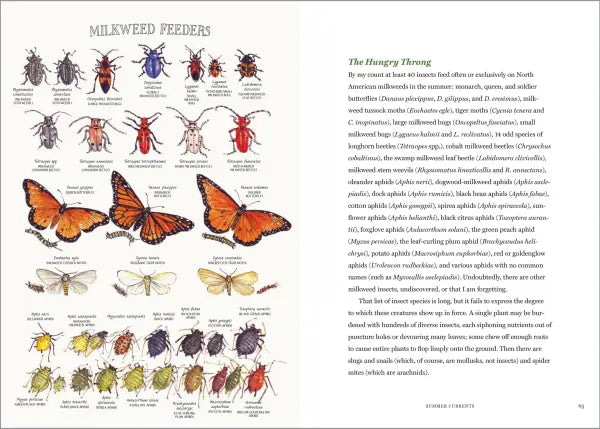 The Milkweed Lands
sample pages