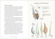 The Milkweed Lands
sample pages