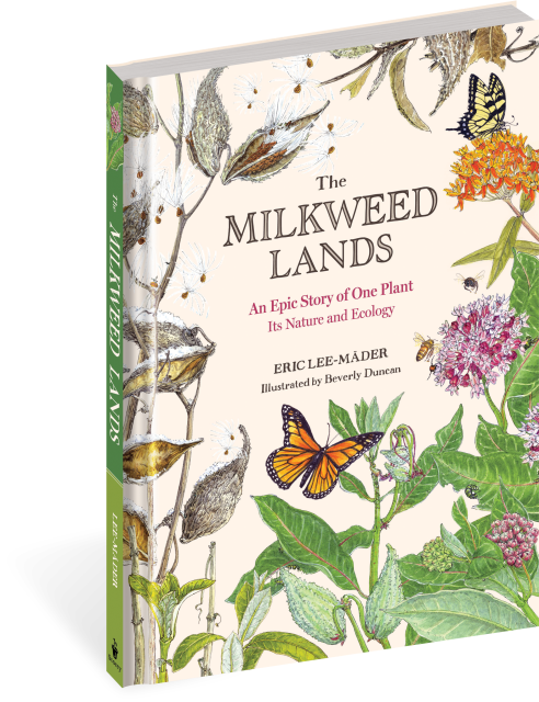 The Milkweed Lands