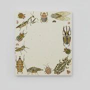 Small Wonders Mini Notes