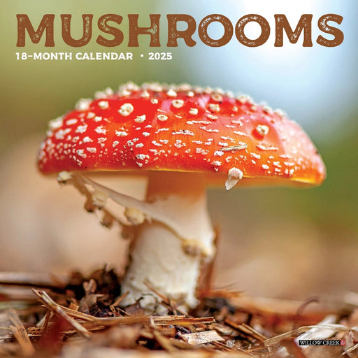 Mushrooms Mini Wall Calendar
Front Cover