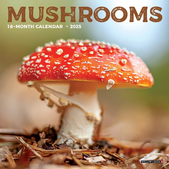 Mushrooms Mini Wall Calendar
Front Cover