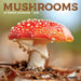 Mushrooms Mini Wall Calendar
Front Cover