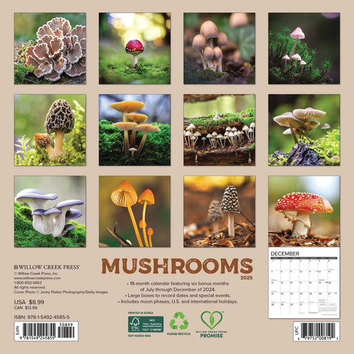 Mushrooms Mini Wall Calendar
Back Cover