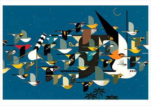 Charley Harper: Mystery of the Missing Migrants Notecard