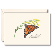 Monarch Butterfly On Goldenrod Notecard Boxed Set of 8