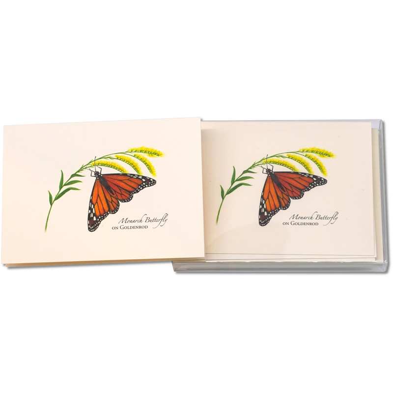 Monarch Butterfly On Goldenrod Notecard Boxed Set of 8