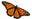 Nature Niche Nature Gifts and Supplies Store logo