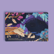 Moonlight Prance Interactive Board Book