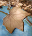 Hanging Bird Bath -Moonseed Vine Leaf Bowl - leaf details