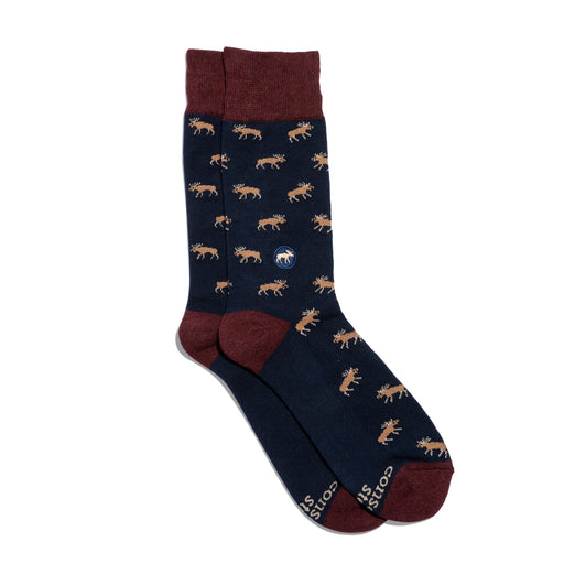 Navy sock with moose pattern and maroon accents on a white background
