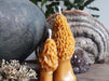 Morel Mushroom Beeswax Candle - Large and Small shown  for size difference