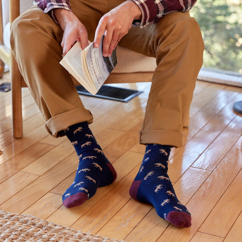 Person wearing navy blue and maroon socks with moose pattern sitting on a chair holding a book.