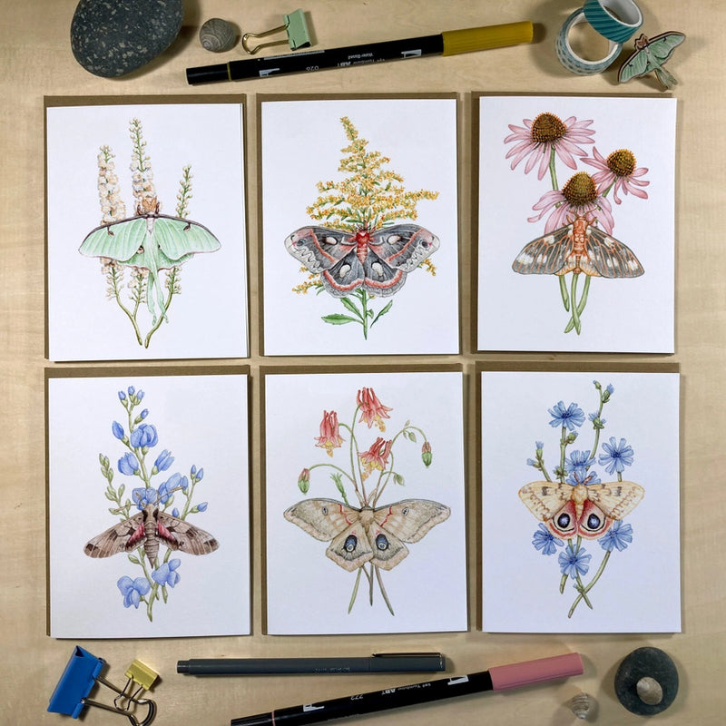 Moths & Wildflowers Recycled Notecards - Set of 6