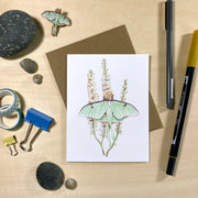 Moths & Wildflowers Recycled Notecards - Set of 6 