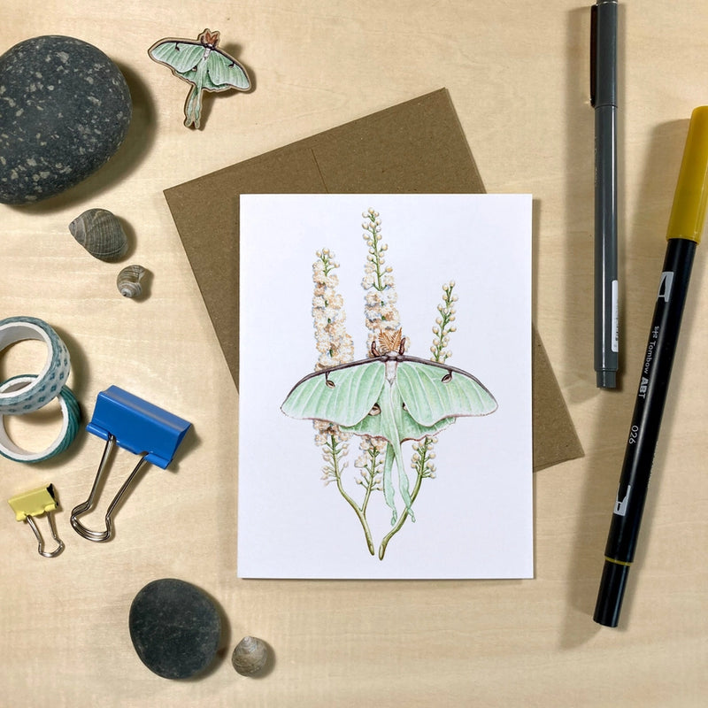 Moths & Wildflowers Recycled Notecards - Set of 6 