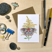 Moths & Wildflowers Recycled Notecards - Set of 6
