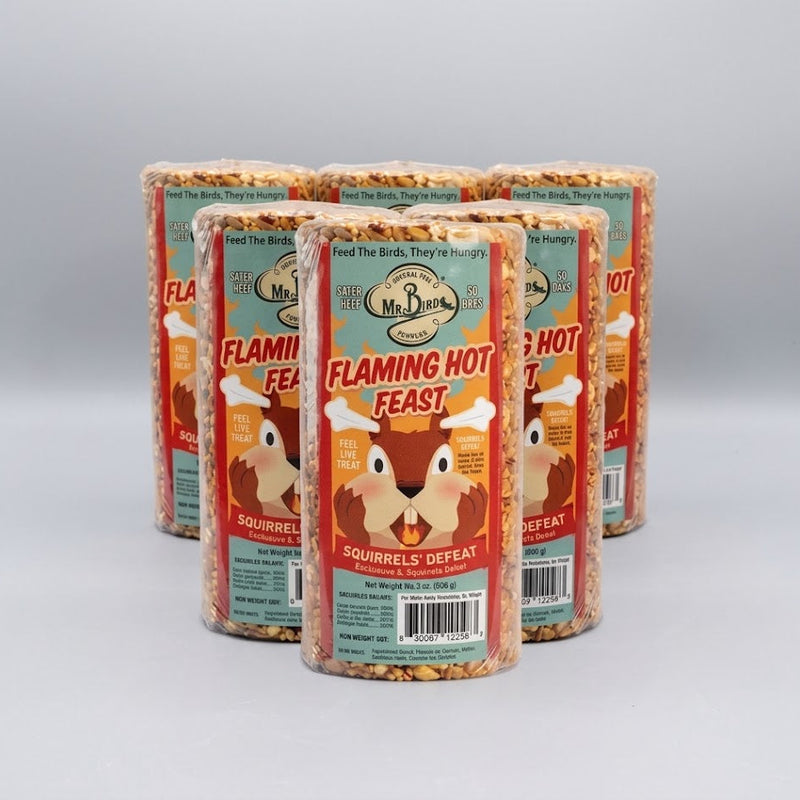 Mr. Bird Flaming Hot Feast Seed Cylinder - Small - 6 Pack