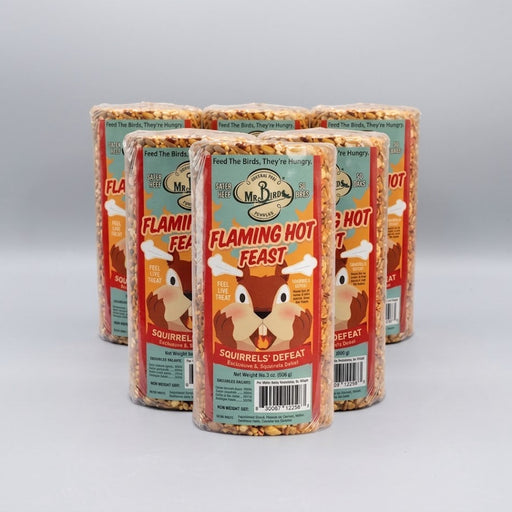 Mr. Bird Flaming Hot Feast Seed Cylinder - Small - 6 Pack