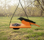 Bird feeder with a polywood oriole hanging in a tree in springtime. 