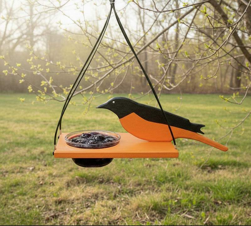 Bird feeder with a polywood oriole hanging in a tree in springtime. 