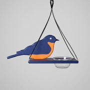 Mr. Bluebird Feeder