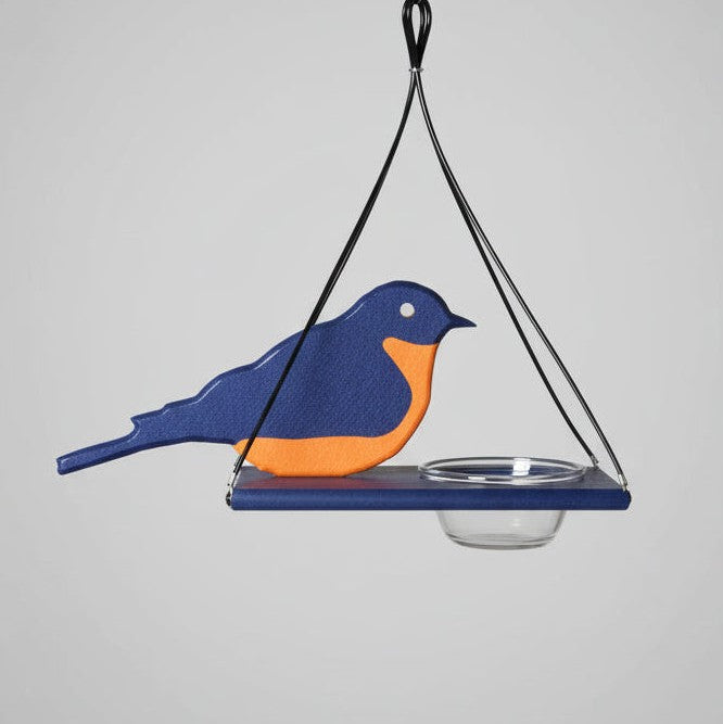 Mr. Bluebird Feeder