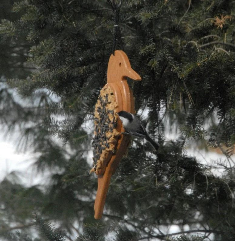 Mr. Woodpecker Feeder Starter Kit in use