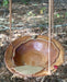 Hanging Bird Bath - Musclewood Leaf Bowl